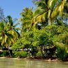 Французская Полинезия, Раиатеа, Пляж Сансет-бич, пальмы