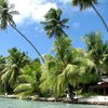 French Polynesia, Taha'a, Vahine Island, palms