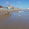 Italy, Marche, Senigallia beach, south, wet sand