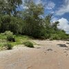 Mariana Islands, Tinian, Chulu beach, trees