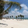 Mexico, Yucatan, Playa Maroma beach, palms