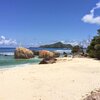 Seychelles, Mahe, Anse Etoile beach, palm