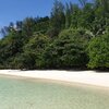 Seychelles, Mahe, Port Glaud beach, trees