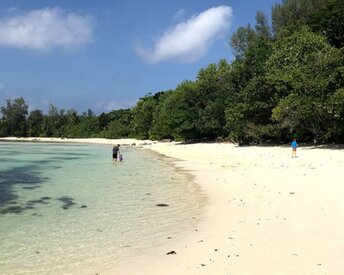 Seychelles, Mahe, Port Glaud beach, water edge