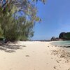 Seychelles, Mahe, Port Glaud Lagoon beach, tree