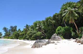 Seychelles, Mahe, Therese islet, beach