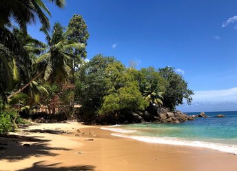 Seychelles, Mahe, Top Soleil beach, wet sand