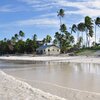 Tanzania, Zanzibar, Kigomani beach, palms