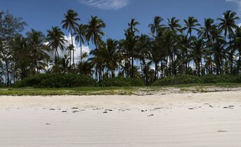 Tanzania, Zanzibar, Kilimajuu beach, south, view from water