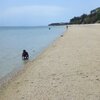 Tanzania, Zanzibar, Mazizini beach, water edge