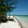 Tanzania, Zanzibar, Michamvi beach, water edge