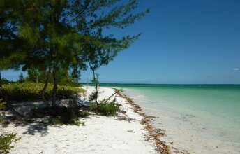 Tanzania, Zanzibar, Michamvi beach, water edge