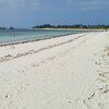 Tanzania, Zanzibar, Michamvi beach, white sand