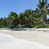 Tanzania, Zanzibar, Pwani Mchangani beach, palms