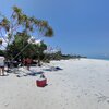 Tanzania, Zanzibar, Sunshine beach, trees