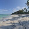 Tanzania, Zanzibar, Uroa beach, palm shade