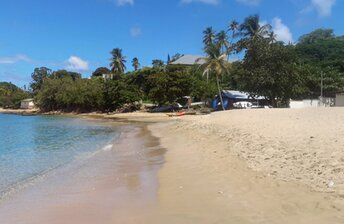 Tobago, Mt. Irvine Bay beach, water edge