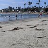 USA, California, San Diego, Cardiff beach, north