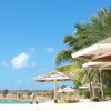 Antigua, Fort James Beach, palms