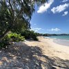 Antigua, Fort James Beach, tree shade