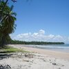 Бразилия, Боипеба, Пляж Прайя-да-Куэйра, забор и пальмы