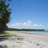 Brazil, Boipeba, Praia da Cueira beach, fence & palms