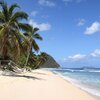 BVI, Tortola, Long Bay Beach, palms