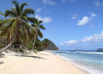 BVI, Tortola, Long Bay Beach, palms