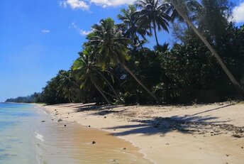 Cook Islands, Rarotonga, Sunset Palms beach, wet sand