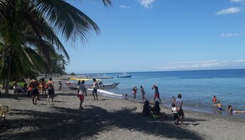 Доминиканская Республика, Пляж Пальмар-де-Окоа, тень пальмы