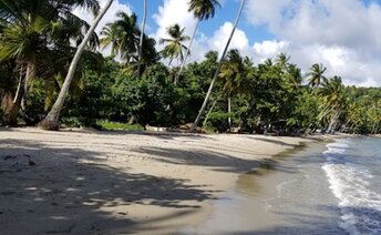 Dominican Republic, Playa Anadel beach, water edge
