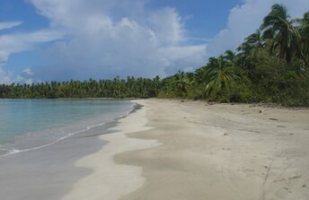 Dominican Republic, Playa Bahia Esmeralda beach, water edge