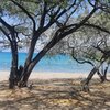 Dominican Republic, Playa Chiquita beach, trees