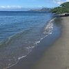 Dominican Republic, Playa El Derrumbao beach, tree