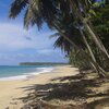Dominican Republic, Playa El Limon beach, palms