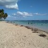 Dominican Republic, Playa Guayacanes beach, algae