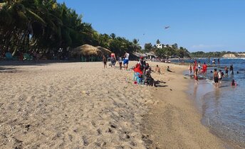 Dominican Republic, Playa Najayo beach, palms