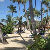 Dominican Republic, Playa Nueva Romana beach, palms & sunbeds