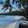 Доминиканская Республика, Пляж Плайя-Паленке, пальмы над водой