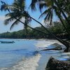 Dominican Republic, Playa Palenque beach, palms over water