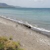 Dominican Republic, Playa Viyeya beach, grass