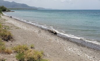 Dominican Republic, Playa Viyeya beach, grass