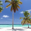 Dominican Republic, Saona, Canto de la Playa beach, azure water