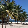 Dominican Republic, Saona, Mano Juan beach, bench