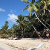 Dominican Republic, Saona, Playa Bonita beach, palms