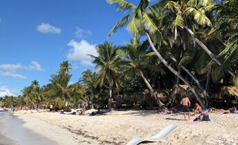 Dominican Republic, Saona, Playa Bonita beach, palms