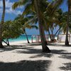 Dominican Republic, Saona, Playa del Gato beach, huts