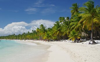 Dominican Republic, Saona, Playa del Gato beach, water edge