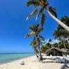 Dominican Republic, Saona, Playa Palmera beach, cafe