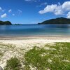 Japan, Amami, Amami Oshima, Yakiuchi beach, grass